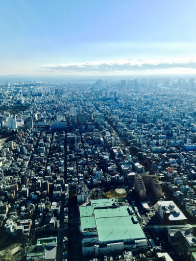 天空树上