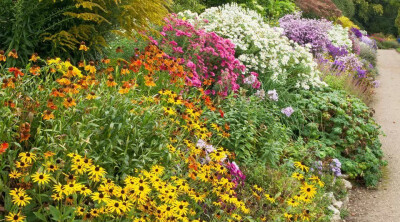 20世纪70年代后期，花境这种在西方国家广为流传的花卉种植形式飘洋过海来到中国，在上海、杭州等地公园里应用了花境的形式，虽然面积不大，却取得较好的效果。