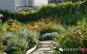 20世纪70年代后期，花境这种在西方国家广为流传的花卉种植形式飘洋过海来到中国，在上海、杭州等地公园里应用了花境的形式，虽然面积不大，却取得较好的效果。