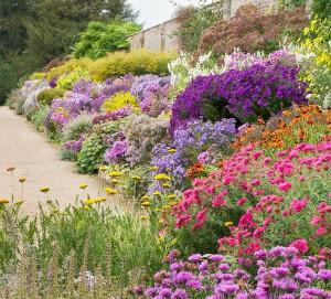 20世纪70年代后期，花境这种在西方国家广为流传的花卉种植形式飘洋过海来到中国，在上海、杭州等地公园里应用了花境的形式，虽然面积不大，却取得较好的效果。