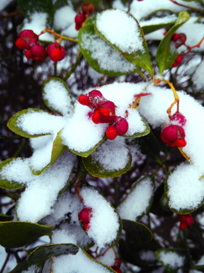 雪天