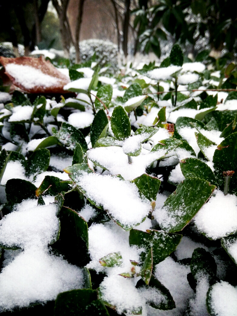 雪天