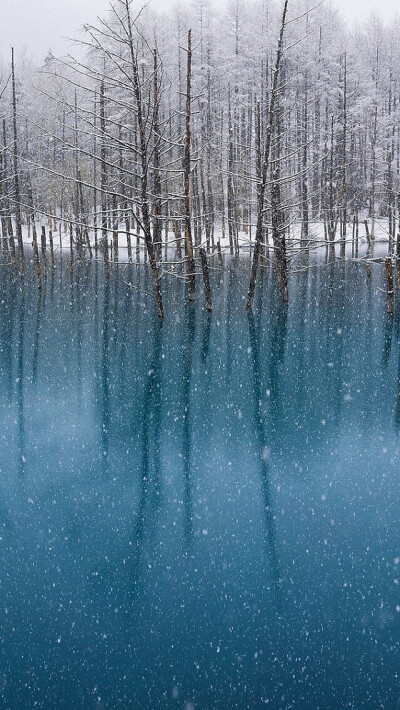 冬日雪景 -木叶-