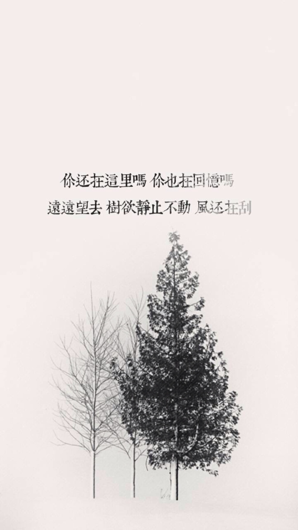 魏晨 歌词壁纸