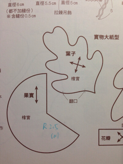 橡果图纸一