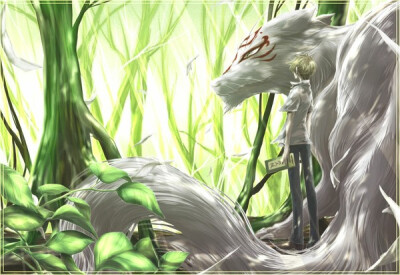 【夏目友人帐】 二次元 壁纸 插画