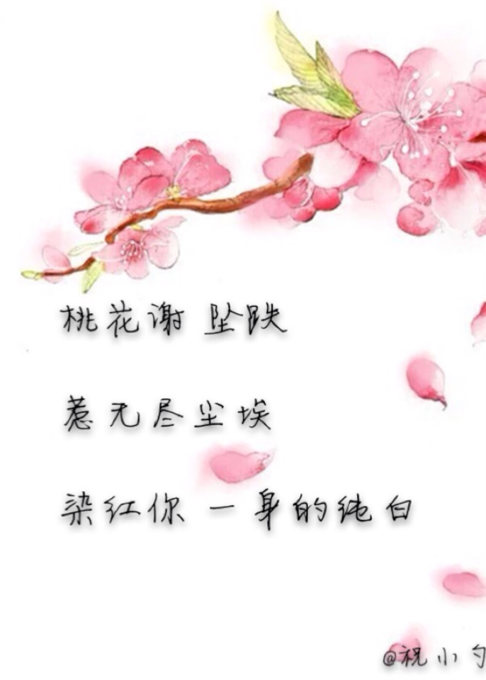 千金女贼 桃花结 桃花劫??