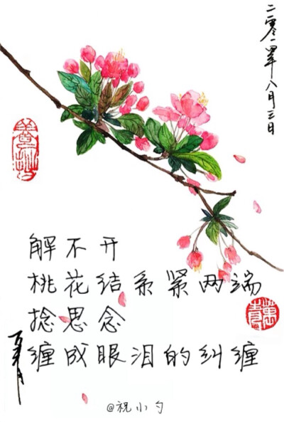 千金女贼 桃花结 桃花劫❤️