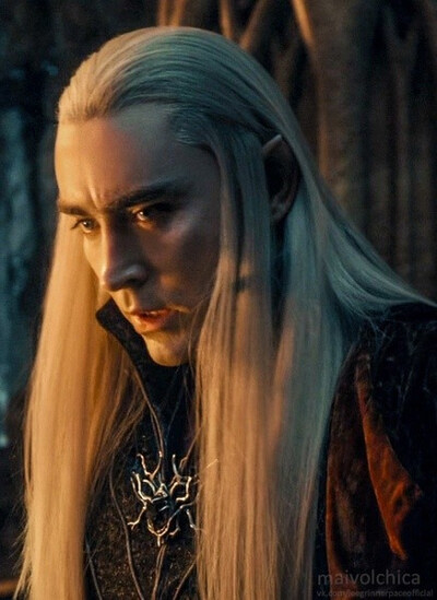 Lee Pace 佩佩