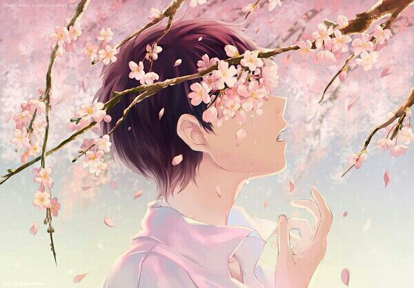 花与少年