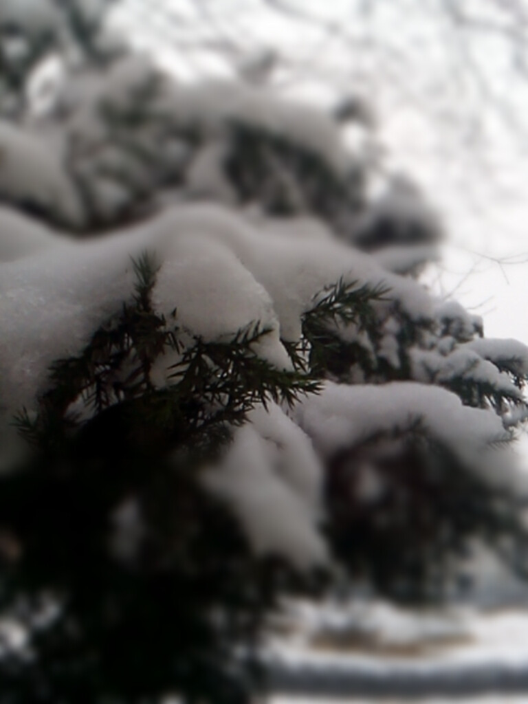 假如明天雪漫江城，那就是我寫給你的情書(shū)。