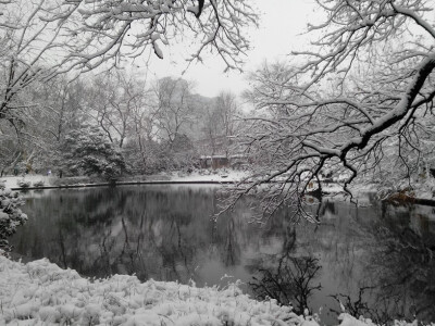 雪景，美吧