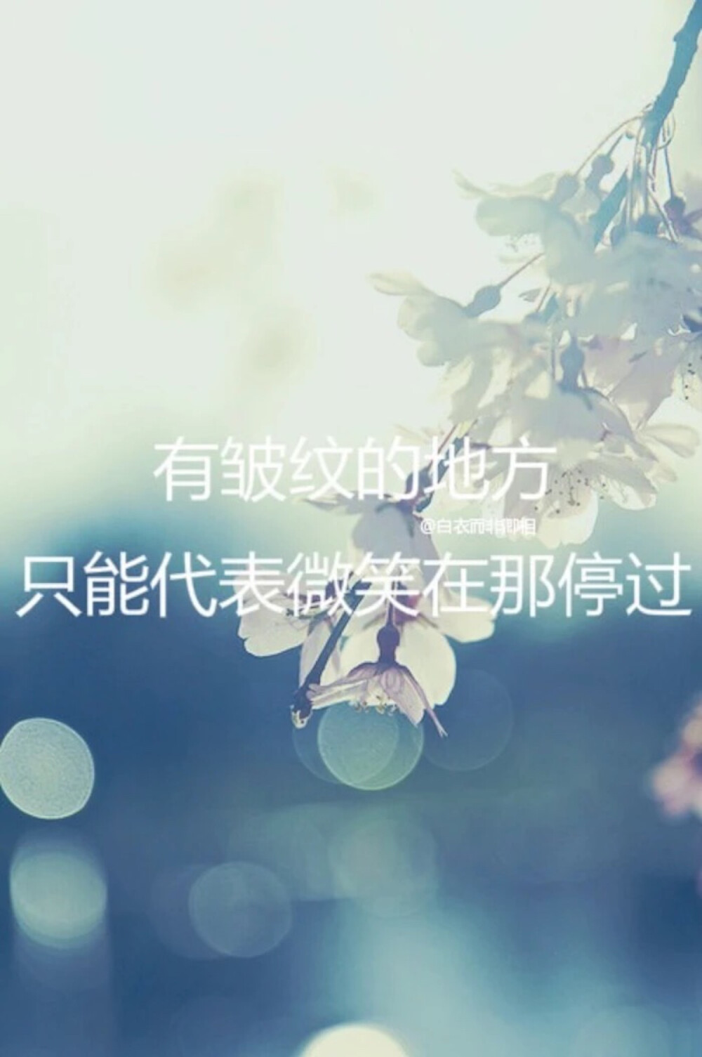 心简单世界就简单幸福才会生长心自由生活就自由到哪都有快乐