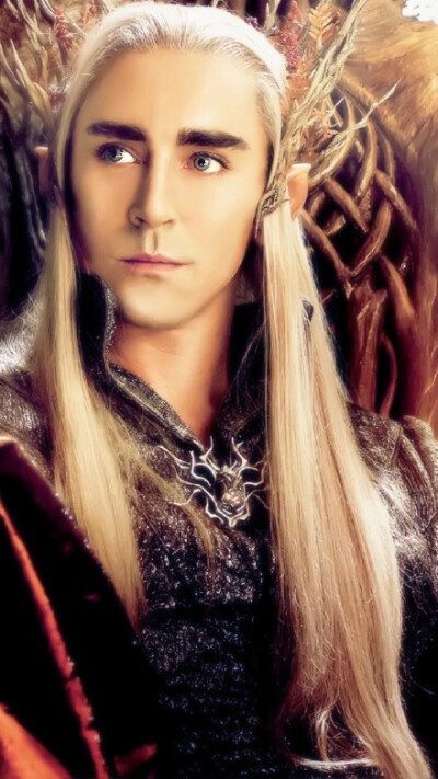 Lee Pace [ Source : http://weibo.com/2295204811/C2qTt1K2F?ref=home&amp;amp;type=comment&amp;amp;type=comment#_rnd1422862406871 ]