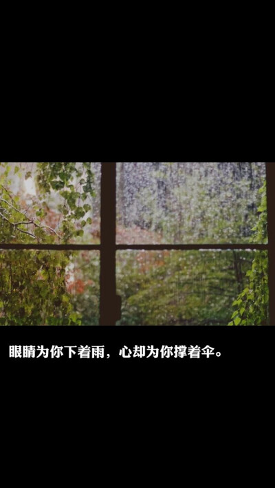 下雨，撑伞