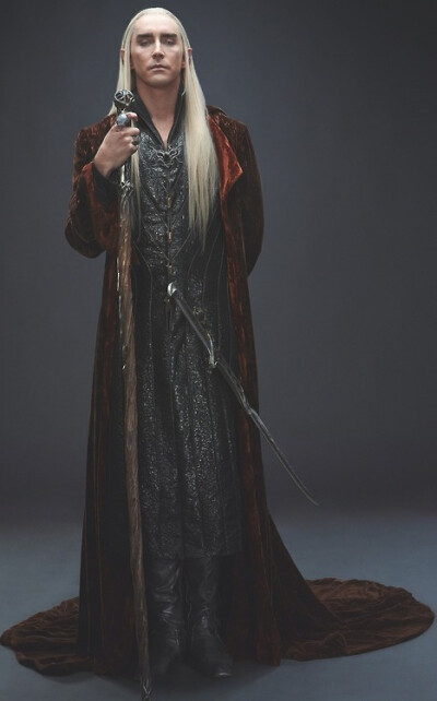 Lee Pace [ Source : http://ilfabbricatorte.tumblr.com/post/85820552483/thranduil ]