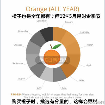 知道水果的时令怎么分嘛？知道什么水果正当季嘛？9副很卡哇伊的图告诉大家~