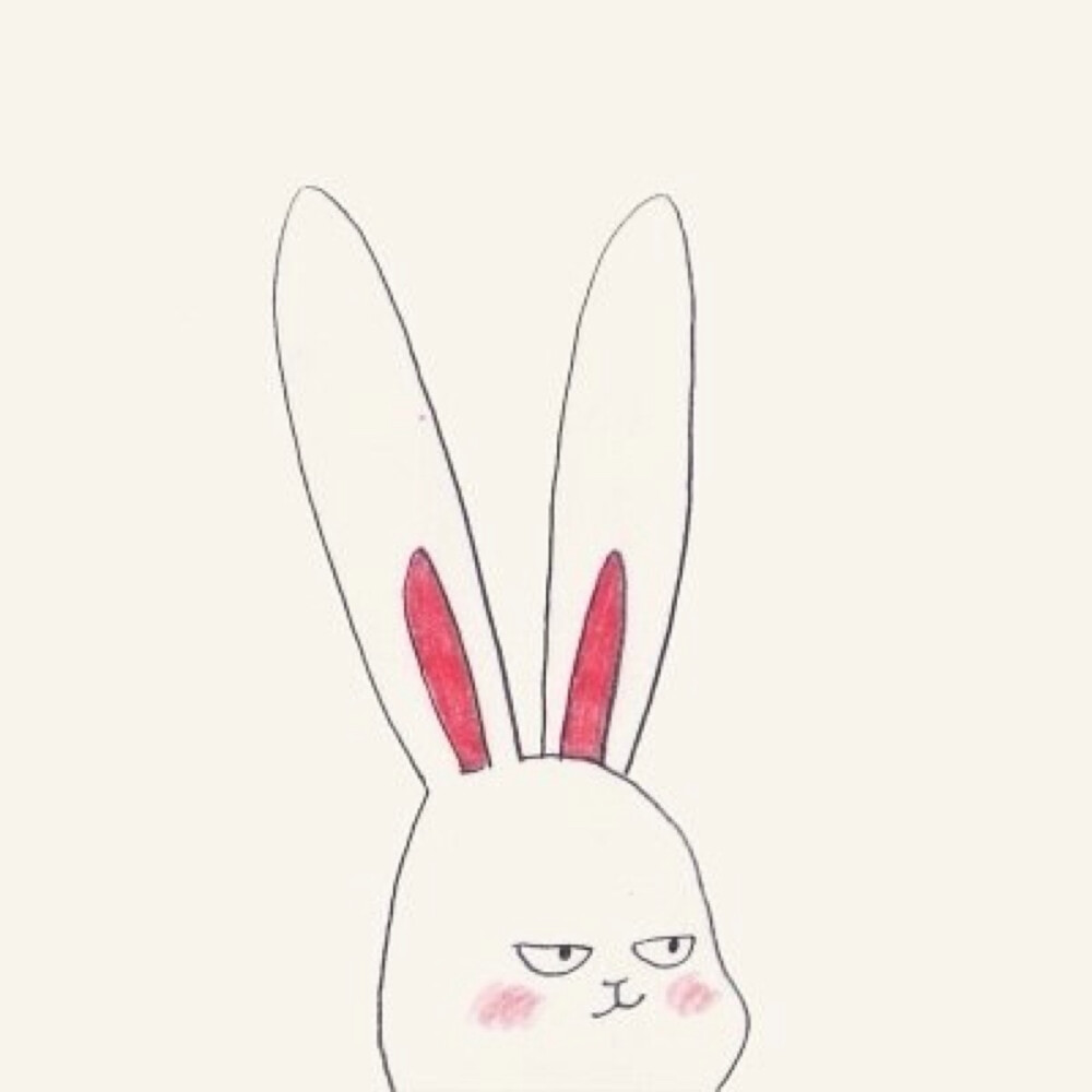 兔子 萌 可爱 头像