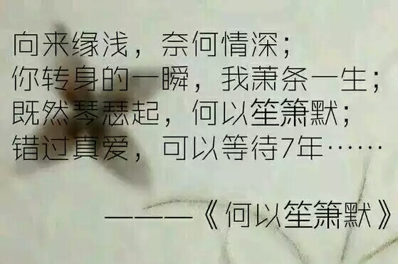 何以笙箫默暖心台词