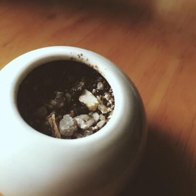 原图作者vessie/花盆