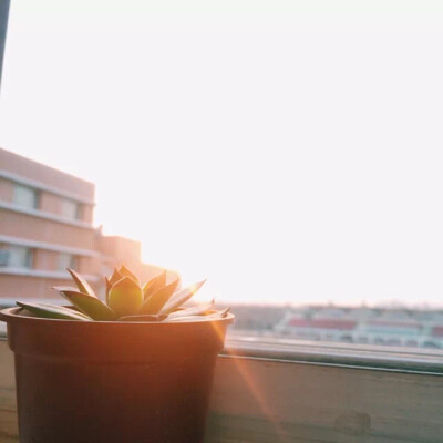 原图作者vessie/409