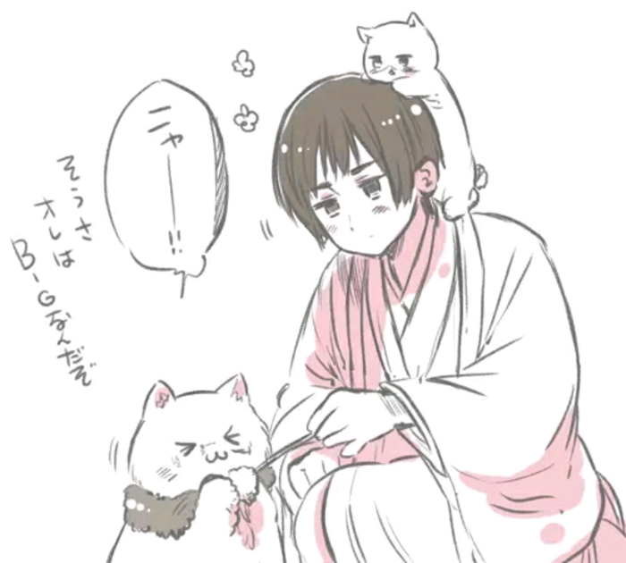 宅菊和猫