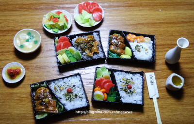 日本盒食，所有均为手工自制，包括餐具和各种菜品