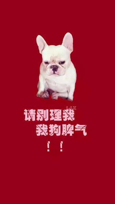 杂图