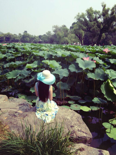 娘子～你还记得大明湖畔的夏雨荷吗？？