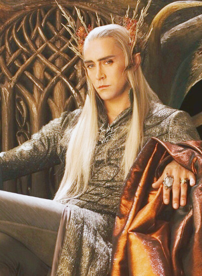 精灵王瑟兰迪尔Thranduil