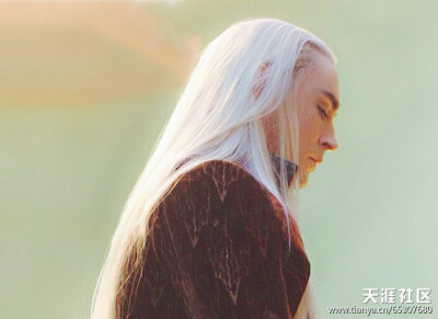 精灵王瑟兰迪尔Thranduil