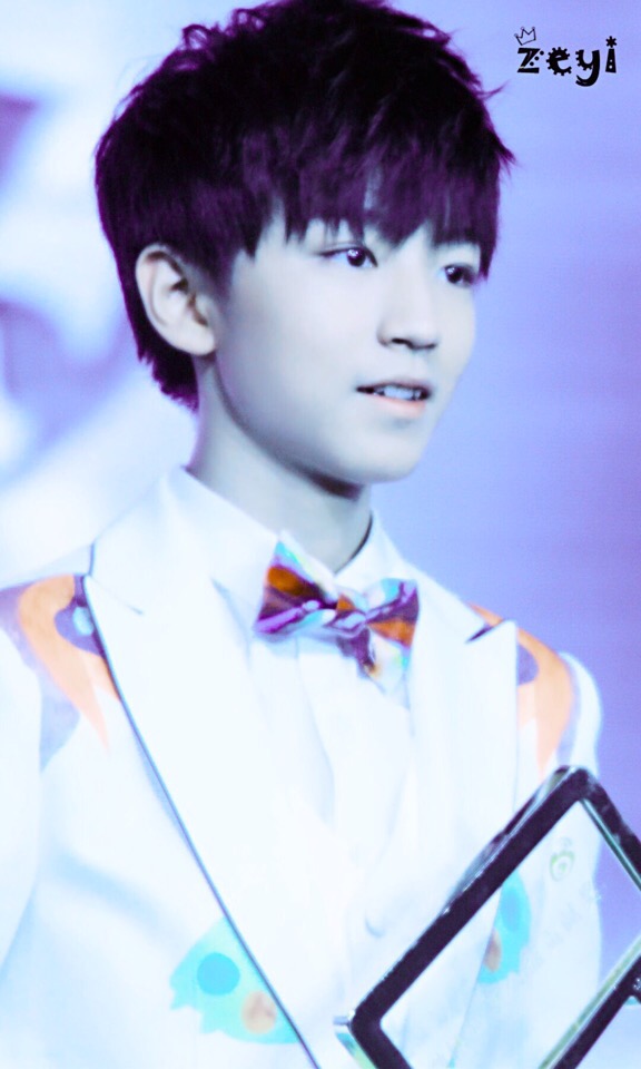 TFBOYS王俊凱 王俊凱，2015.01.15微博之夜活動紅毯 cr.logo