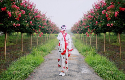  滚滚红尘.人注定只是一阵风.一滴雨.一颗泪.一粒沙.一幅画.一首诗.一隙光.一首歌.在飘渺变幻中.在时间竞争中.犹如昙花一现.飘渺烟云.即逝烟花.就是那么短暂.就是那么让人措手不及.在时间中的交错中徘徊.有一些时候.…