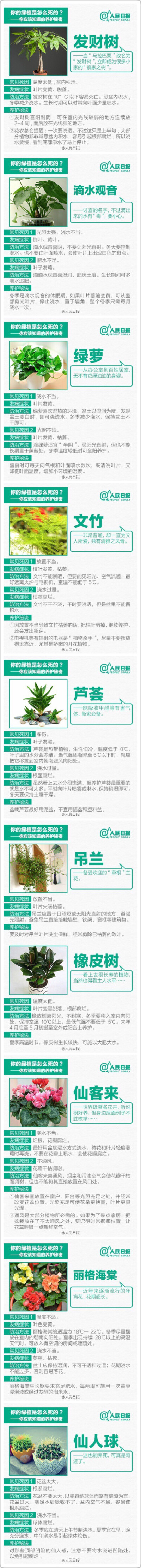 经常把绿植养死的娃娃可以滚去反省啦！！