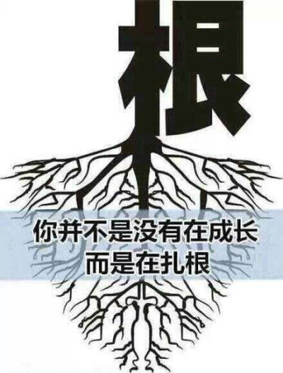 毛竹用了4年的时间，仅仅长了3cm，从第五年开始，以每天30cm的速度疯狂的生长，仅仅用了六周的时间就长到了15米。其实，在前面的四年，竹子将根在土壤里延伸了数百平米。做人做事亦是如此，不要担心你此时此刻的付出…