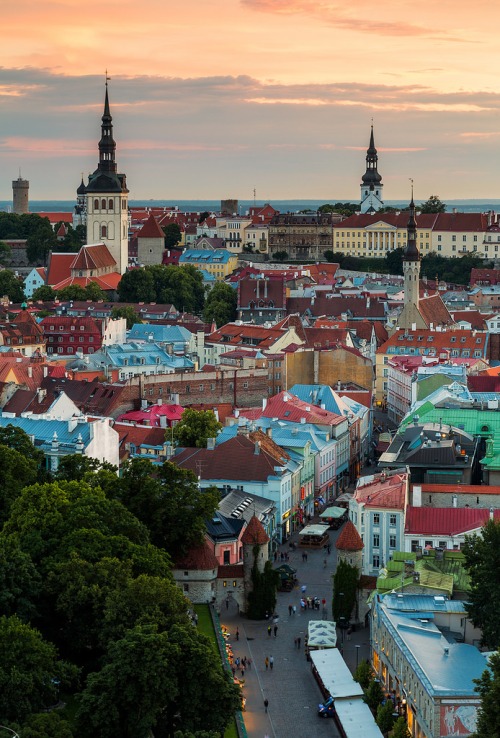 Tallinn, Estonia。爱沙尼亚塔林，始建于1248年丹麦王国统治时期，1991年恢复独立后成为爱沙尼亚共和国首都。塔林市位于爱西北部，濒临波罗的海，塔林港是爱沙尼亚最大的港口，历史上曾一度是连接中东欧和南北欧的交通要冲，被誉为“欧洲的十字路口”。