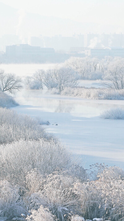 雪