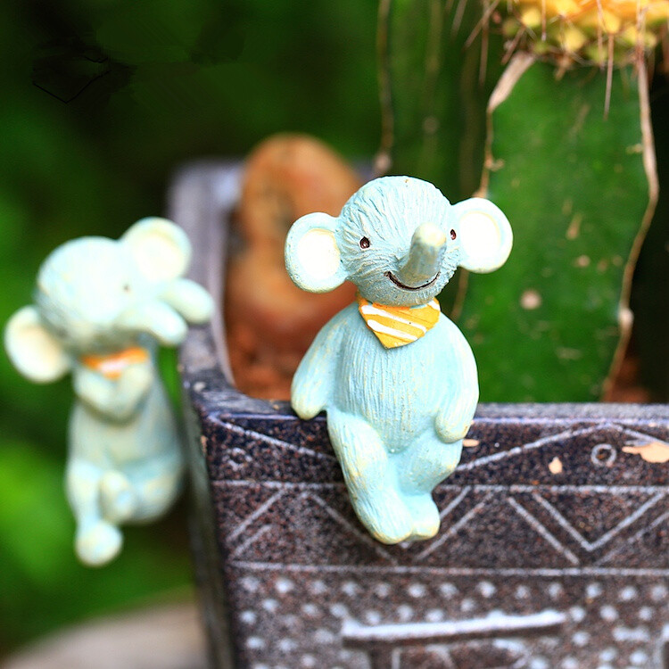 Felicity 多肉植物盆栽 苔藓微景观 装饰摆件 DIY材料 hello小象