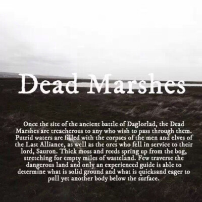 Dead Marshes