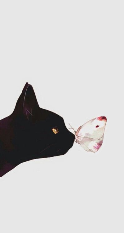 壁纸 安静 美则美矣