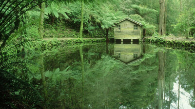 维多利亚 丹德农山脉 Alred Nicholas纪念花园 (© Bob Wickham Photolibrary Getty Images).jpg