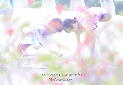 cr：mr.wonders