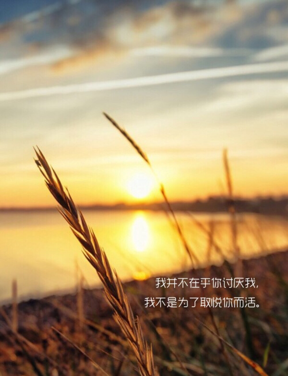 我不是为了取悦你而活.