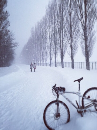 Hokkaido University, Sapporo, Hokaido, Japan。日本北海道大学，位于札幌市中心的北大主校区，占地约为177万平方公尺，除位于函馆的水产学部外的所有学部，研究所和研究中心都设在这里。仅仅学生食堂就有10处以上，相当于一条小街的规模。校园的主要大道为一条长1500公尺的南北向大道。各个学部分布在其左右。校园的东侧紧靠着札幌火车站，也靠近札幌地铁的12条站和18条站。随着札幌市的扩展，北大也渐渐成为市中心交通阻塞的影响因素。北大校园内最著名的景观就是白杨林大道，位于理学部与工学部之间靠近农场附近，长约300米。