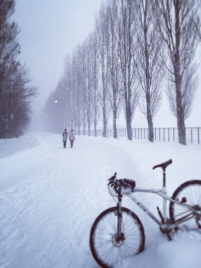 Hokkaido University, Sapporo, Hokaido, Japan。日本北海道大学，位于札幌市中心的北大主校区，占地约为177万平方公尺，除位于函馆的水产学部外的所有学部，研究所和研究中心都设在这里。仅仅学生食堂就有10处以上…