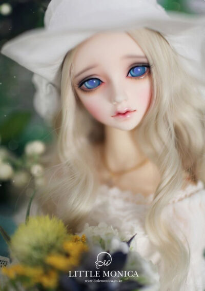 •。左 •。BJD、SD、DOLL、人形