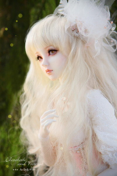 •。左 •。BJD、SD、DOLL、人形