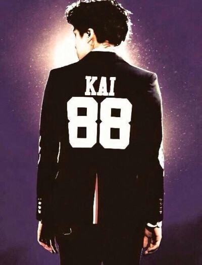 EXO 金钟仁Kai