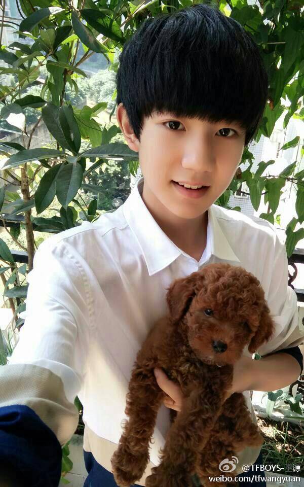 tfboys roy 王源 微博