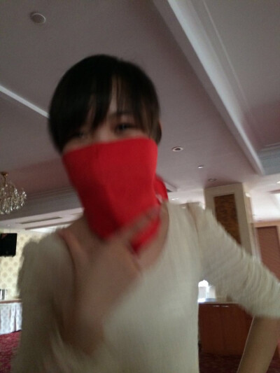 红领巾女侠
